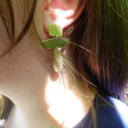 Atlas Earrings