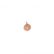 Copper Zodiac Aries